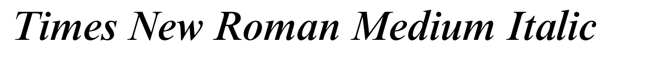 Times New Roman Medium Italic